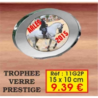 TROPHEE VERRE PRESTIGE : REF. 11G2P - 15 x 10 CM